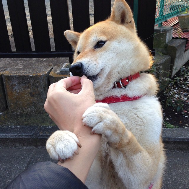 湖火燎原难抵一念神魔，爱德华兹绝命一击撕裂洛杉矶夜空