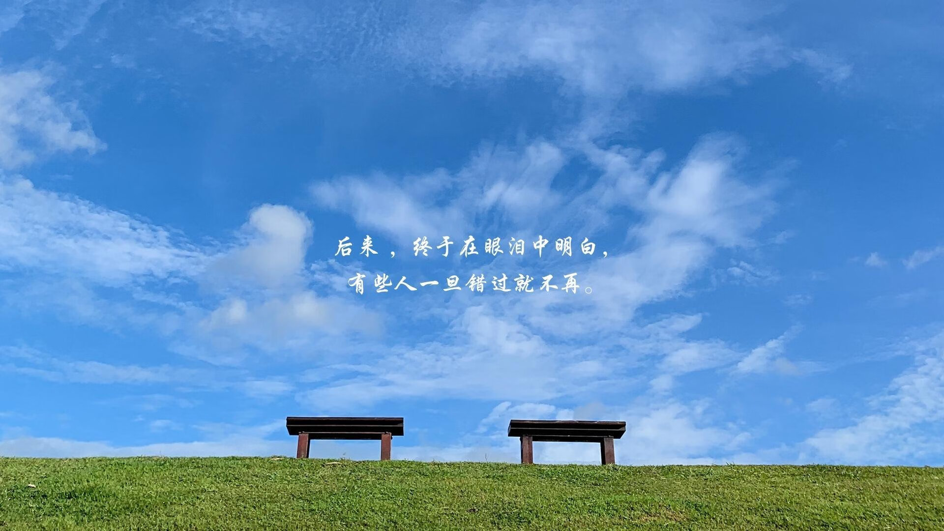 新王登基还是昙花一现？切特·霍姆格伦铸成铁壁，篮网狂胜活塞揭示未来蓝图