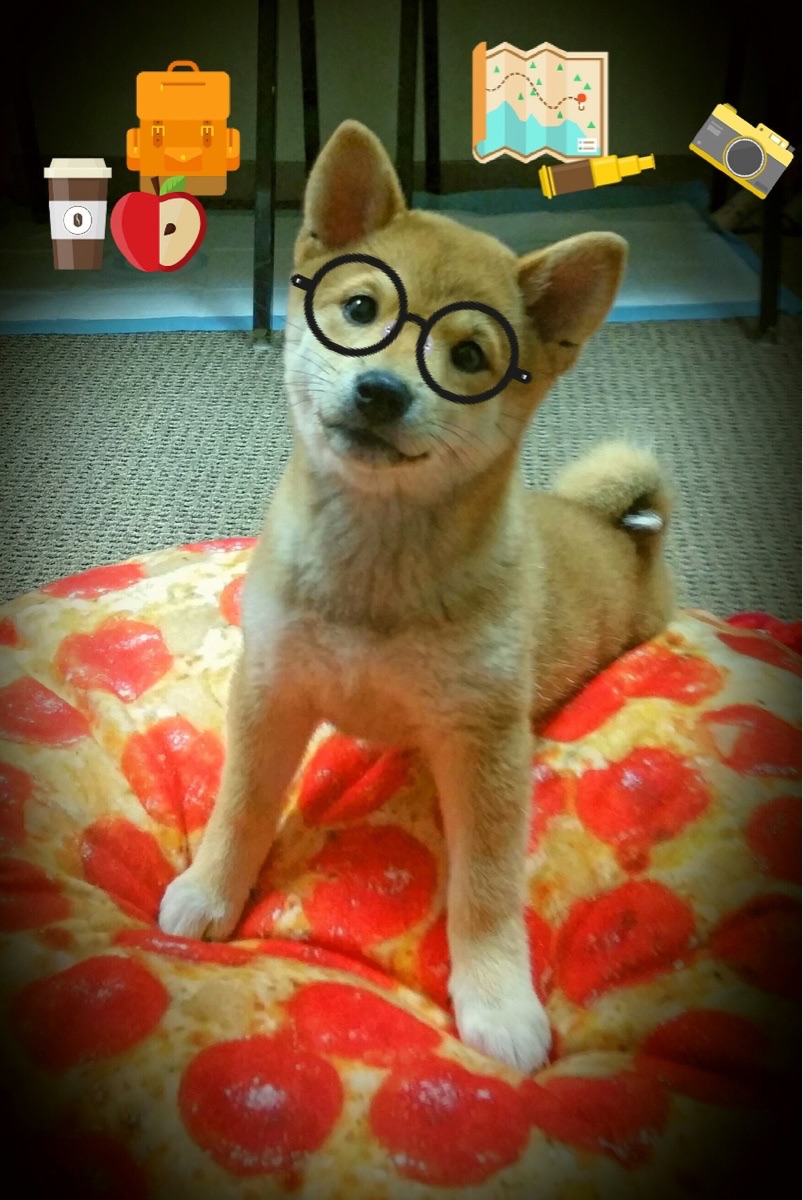 从防守铁闸到进攻核心，霍勒迪如何用一场比赛完成蜕变？