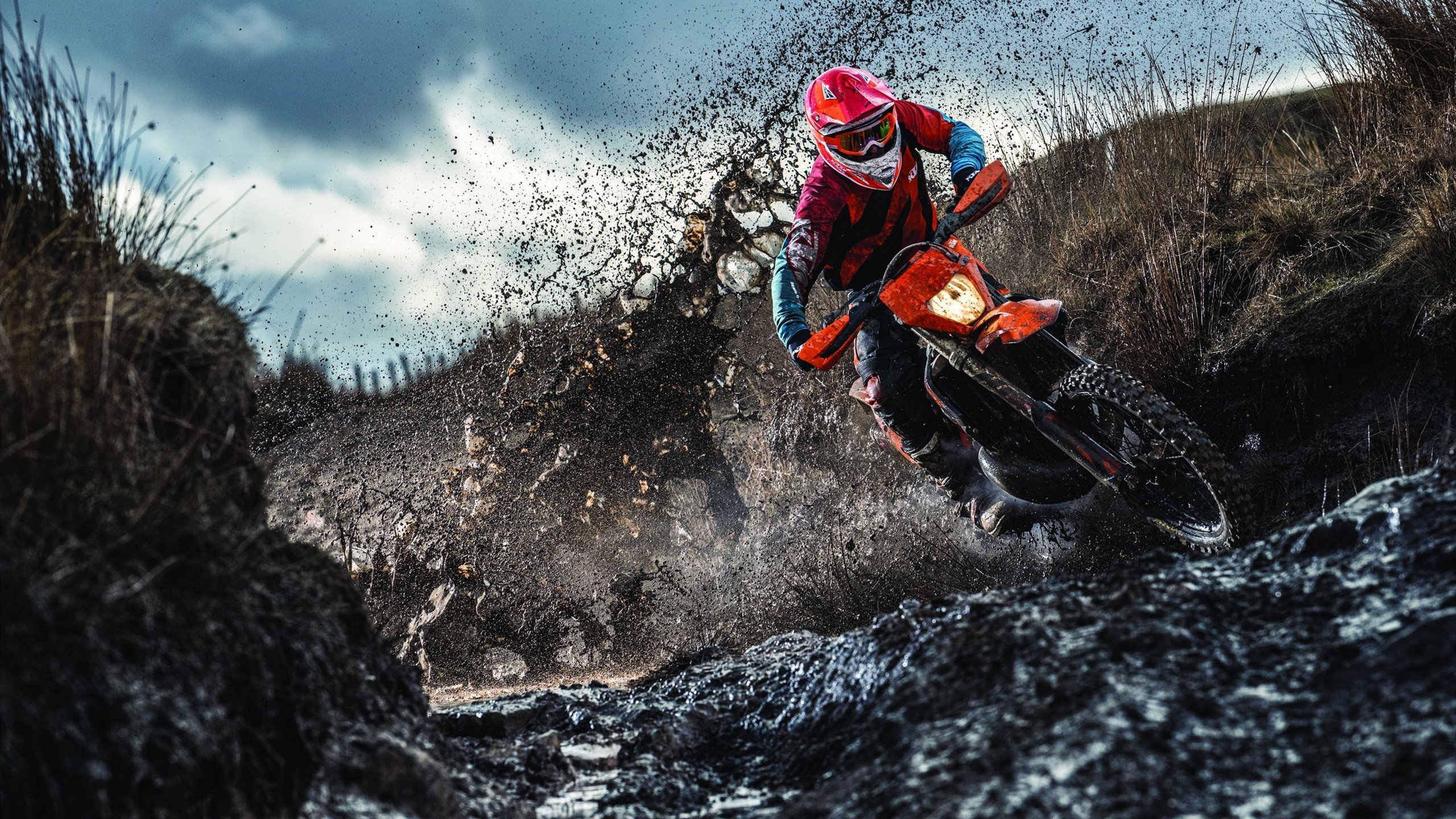 喀麦隆黑豹斩落紫百合！卡拉斯科一锤定音成关键先生