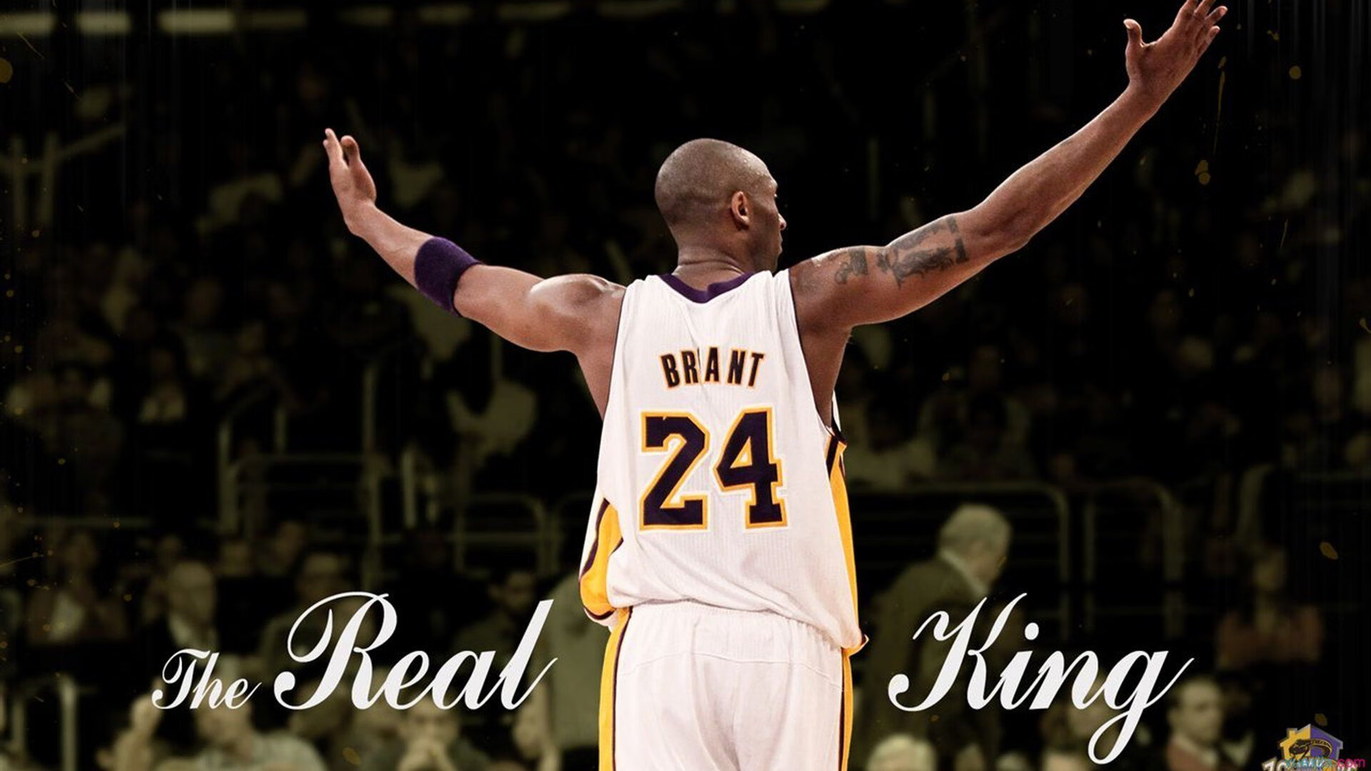 改写剧本的逆袭者！小贾伦临危受命，76人击溃猛龙的暗夜奇兵