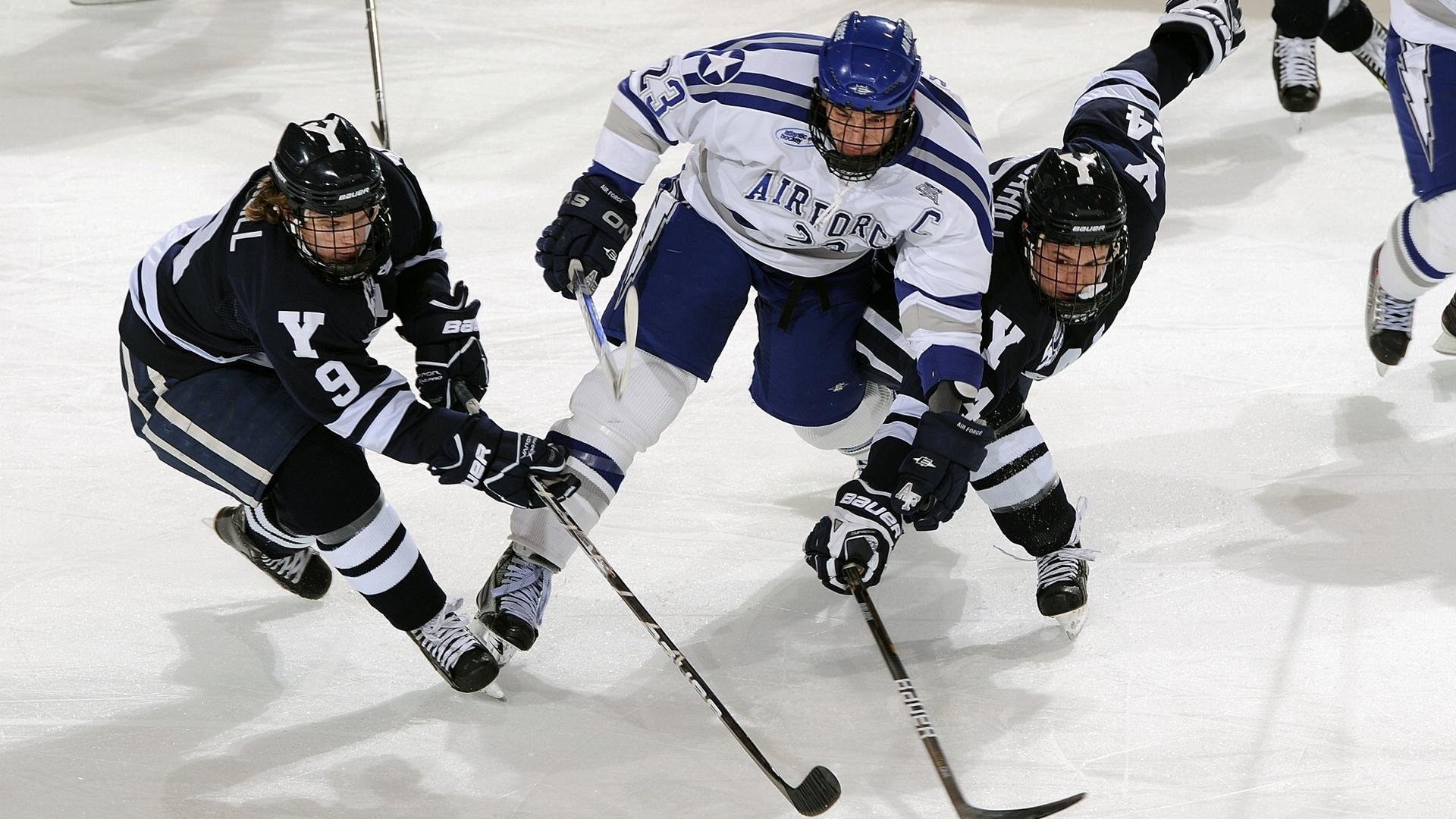 青春风暴遭遇老辣狙击！猛龙三分雨淹没黄蜂，季后赛碾压局警示新贵